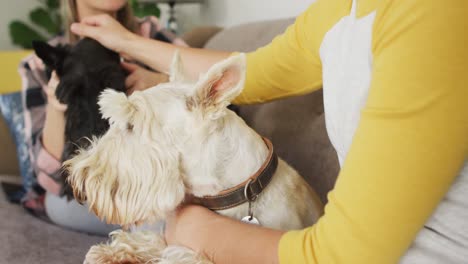 Pareja-De-Lesbianas-Caucásicas-Jugando-Con-Sus-Perros-Sentados-En-El-Sofá-De-Casa