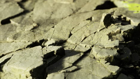 detailed view of cracked rock surface with green moss in natural light