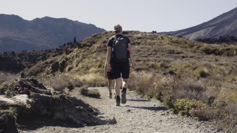 men in backpacks at tongariro alpine crossing in summer in new zealand