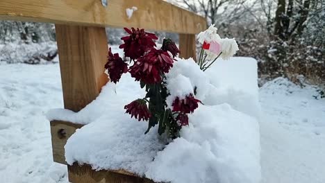 frozen bouquet of memorial flowers on snowy wooden park bench at daybreak