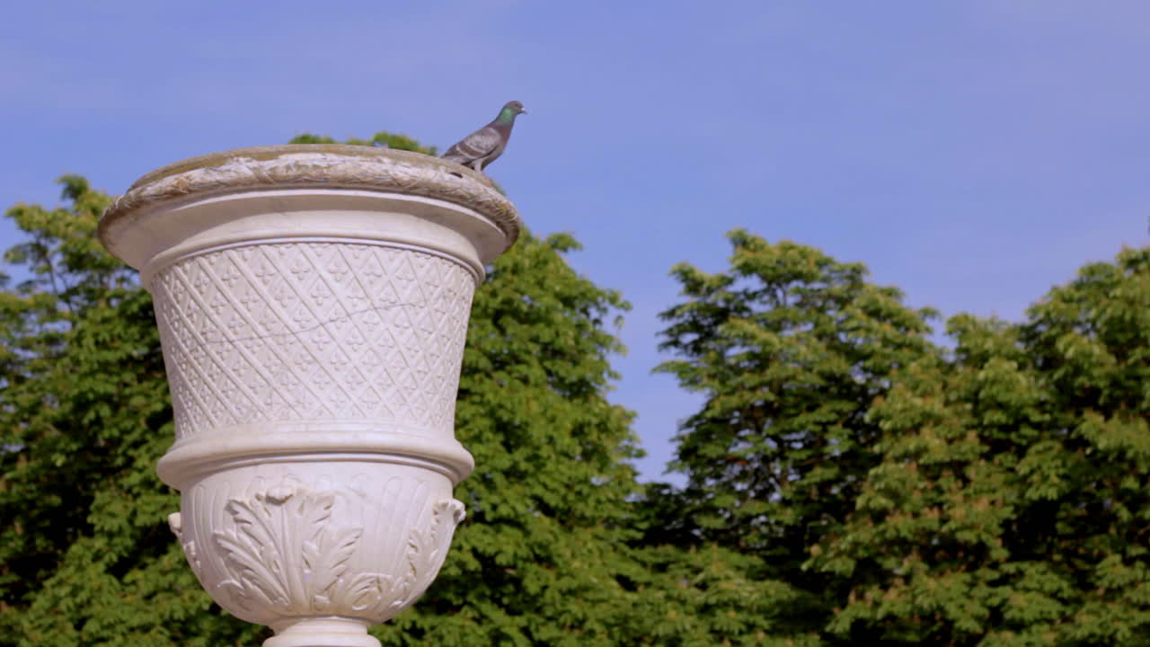 A pigeon perched on an elegant stone urn against a vibrant blue sky and trees