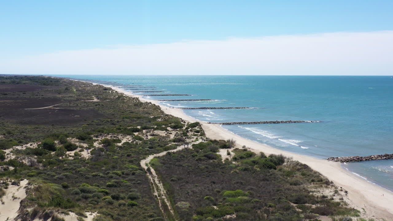 vista aérea grande a cercana de los voluntarios ambientales recogiendo basura