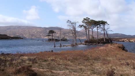 Ancient-Lewisian-gneiss-rock-formation-landscape-of-Loch-Inver-water,-golden-tussock-grasses-in-the-highlands-of-Scotland-UK