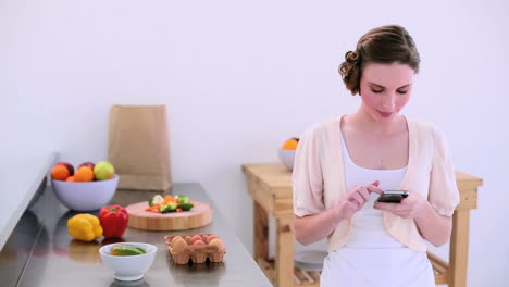 bonita modelo de pie en la cocina enviando mensajes de texto en su teléfono