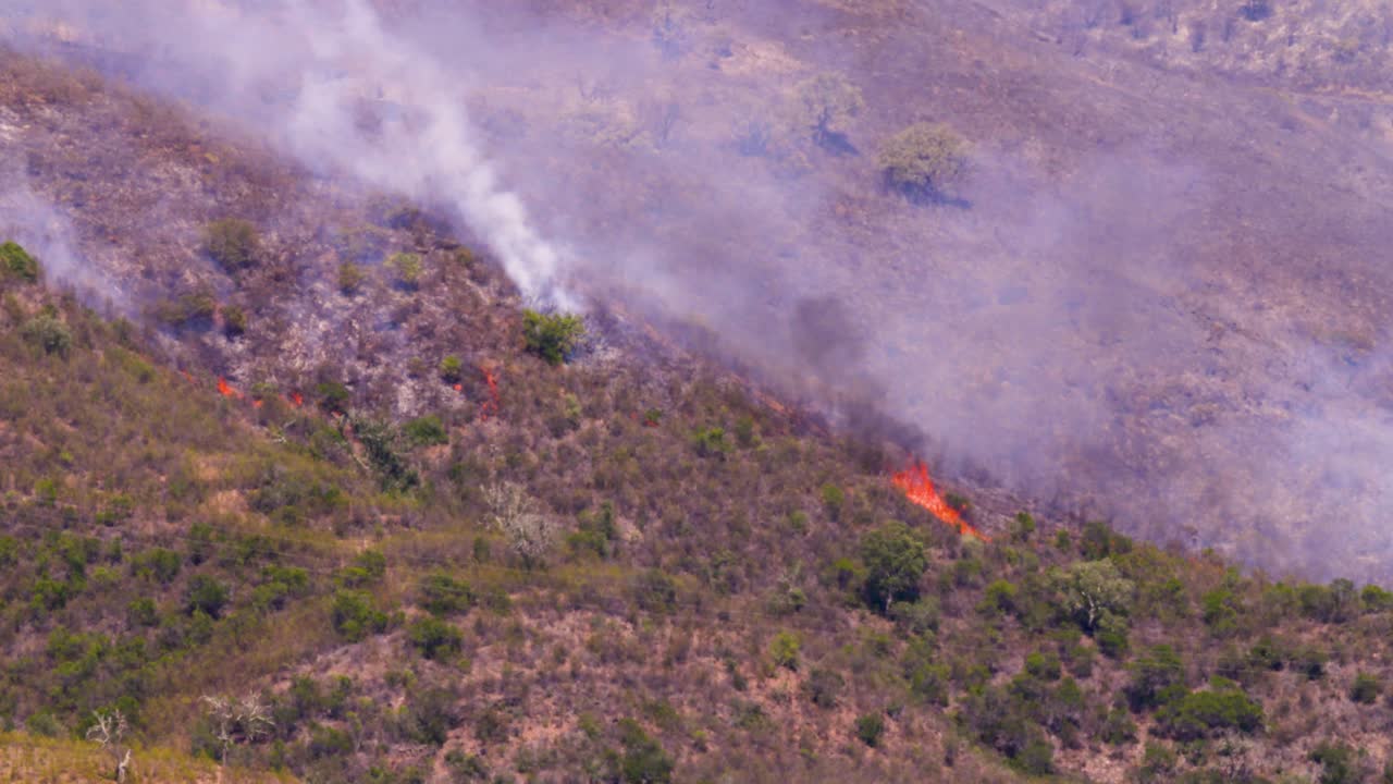 el fuego forestal con diferentes fuentes de fuego y el calor que hace vibrar el aire