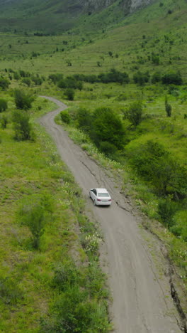 white car on a winding country road