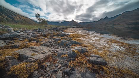 Felsige-Ufer-Und-Sandbänke,-Die-Bei-Ebbe-Freigelegt-Werden,-Sind-Mit-Seegras-Und-Kelp-Bedeckt