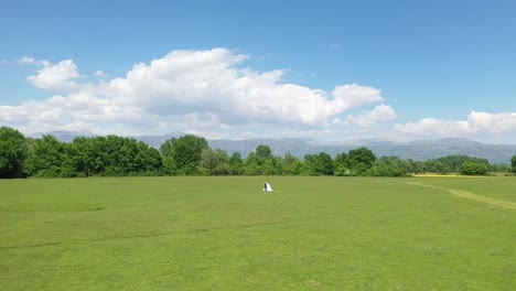 newlyweds hug in the meadow