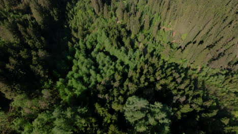 hermosa toma de drone que revela una increíble vista de bergen desde un valle entre dos de las siete montañas que rodean la ciudad