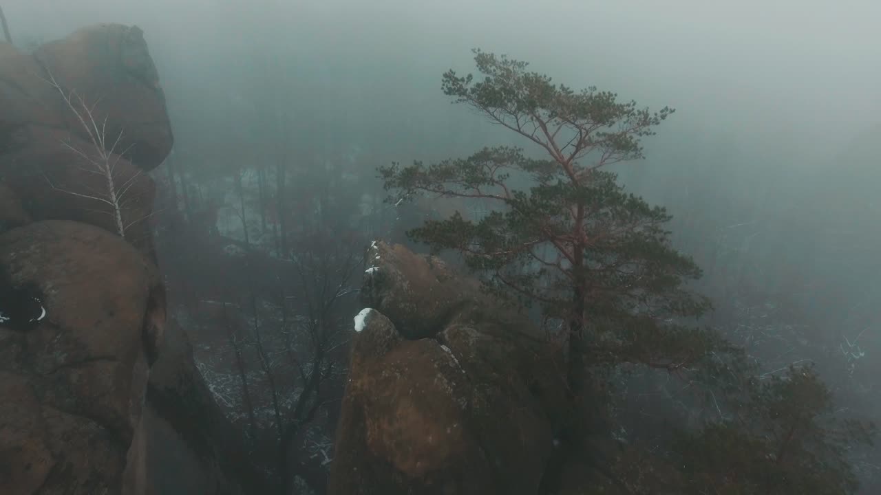 Foggy Mountain Landscape with Rocks and Trees