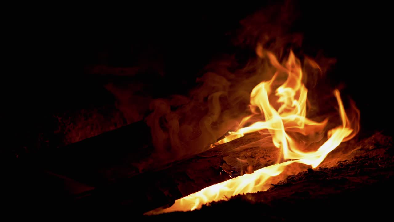 la noche una fogata brillante arde en el bosque. 4k