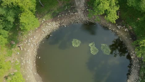 Aerial-shot-from-just-above-of-a-crater-full-of-water-located-between-trees-in-Estonia