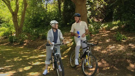 Älteres-Paar-Mit-Fahrrädern,-Das-In-Die-Zukunft-Blickt