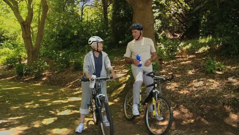 senior couple with bikes looking at the way ahead