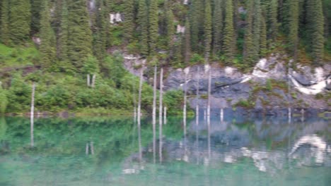 lac kaindy au kazakhstan connu aussi sous le nom de lac de bouleau ou forêt sous-marine