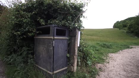 litter box on the exit road of the forest