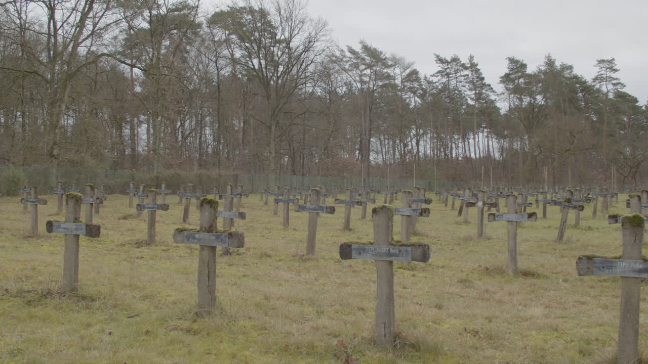Wide pan over abandoned cemetery with old gravestones