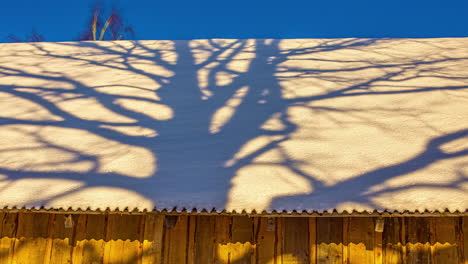 Interesante-Lapso-De-Tiempo-Mientras-La-Sombra-Del-árbol-Se-Mueve-De-Izquierda-A-Derecha-En-Un-Techo