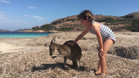 young australian girl petting a kangaroo in lucky bay