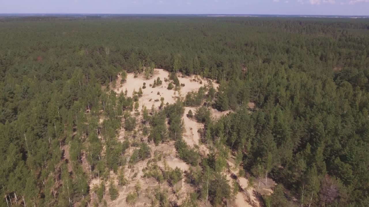 Sand Dunes in The Middle of The Forest. Aerial Lower Arc Left