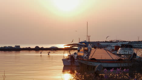 Meeresszene-Mit-Hafen-Und-Möwen-Bei-Sonnenuntergang