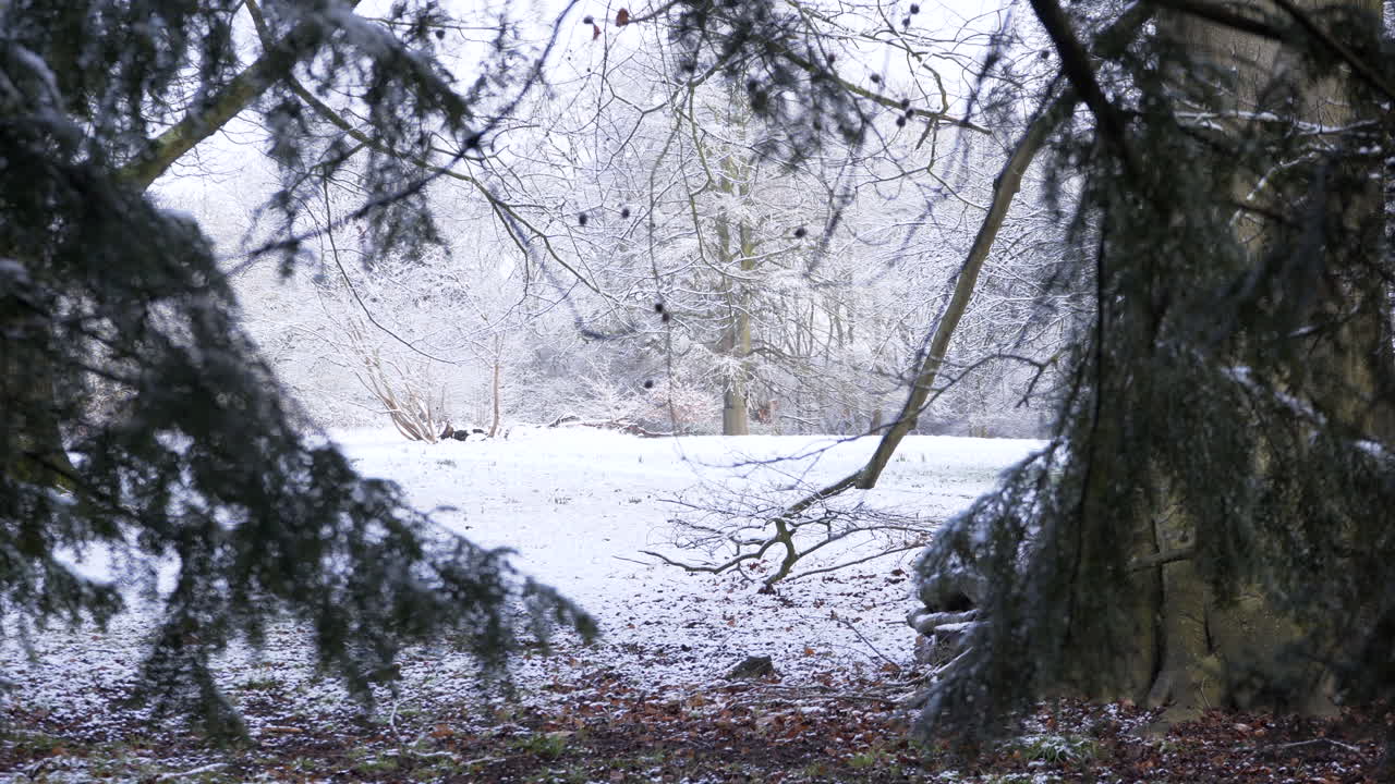 외과 의사 모자와 얼굴 마스크를 벗고 피곤된 여성 의사