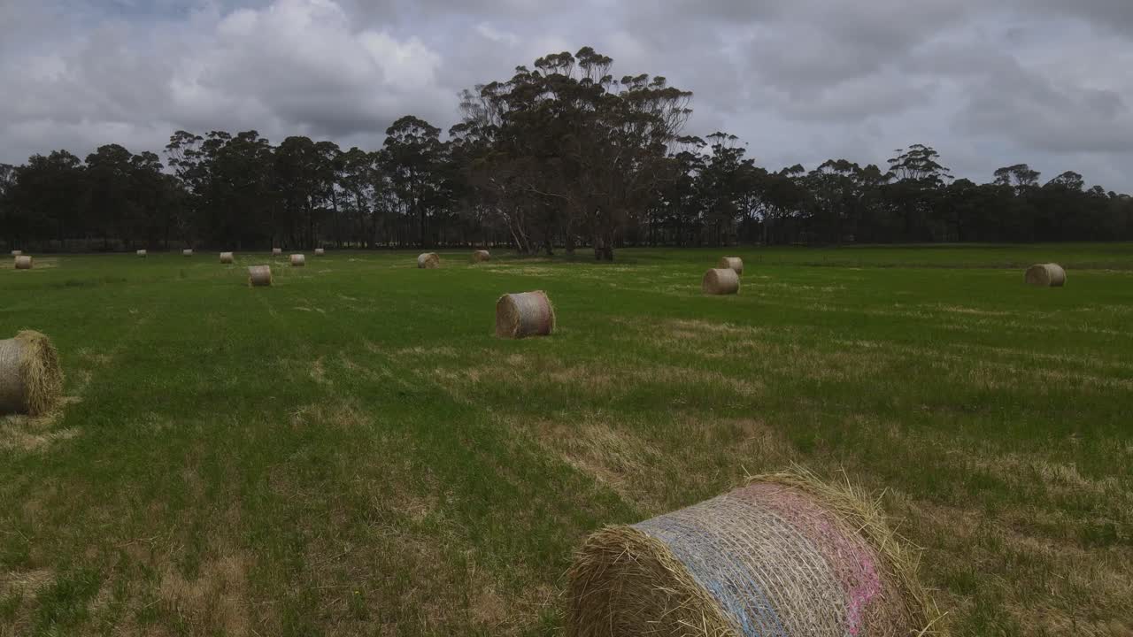 Margaret River, Batı Avustralya'da bulutlu bir günde birçok ot balyası bulunan tarım arazilerine havadan yörünge çekimi
