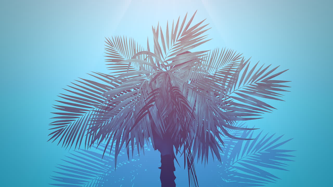 Closeup tropical palm trees with summer background