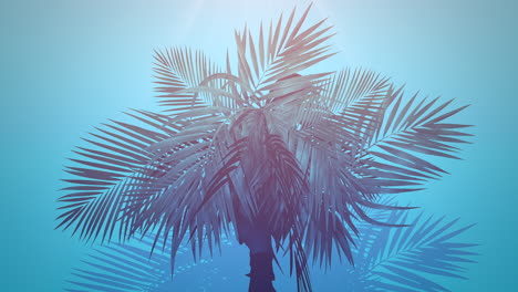 primer plano de palmeras tropicales con fondo de verano