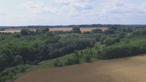 Eine-Grüne-Oase-Zwischen-Kultivierten-Landwirtschaftlichen-Feldern