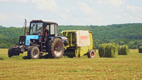 tractor pressing grass into round bales on the field in summer. agricultural machine makes pressed bundle of green grass outdoors.