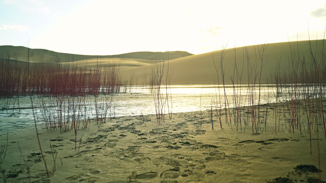Sunlight glimmers across still sand dunes and grass in the Great Sand Dunes National Park, light reflects across water, natural backdrop background