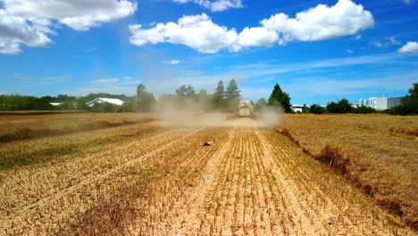 Storch,-Der-Nach-Der-Ernte-Allein-Auf-Dem-Feld-Läuft