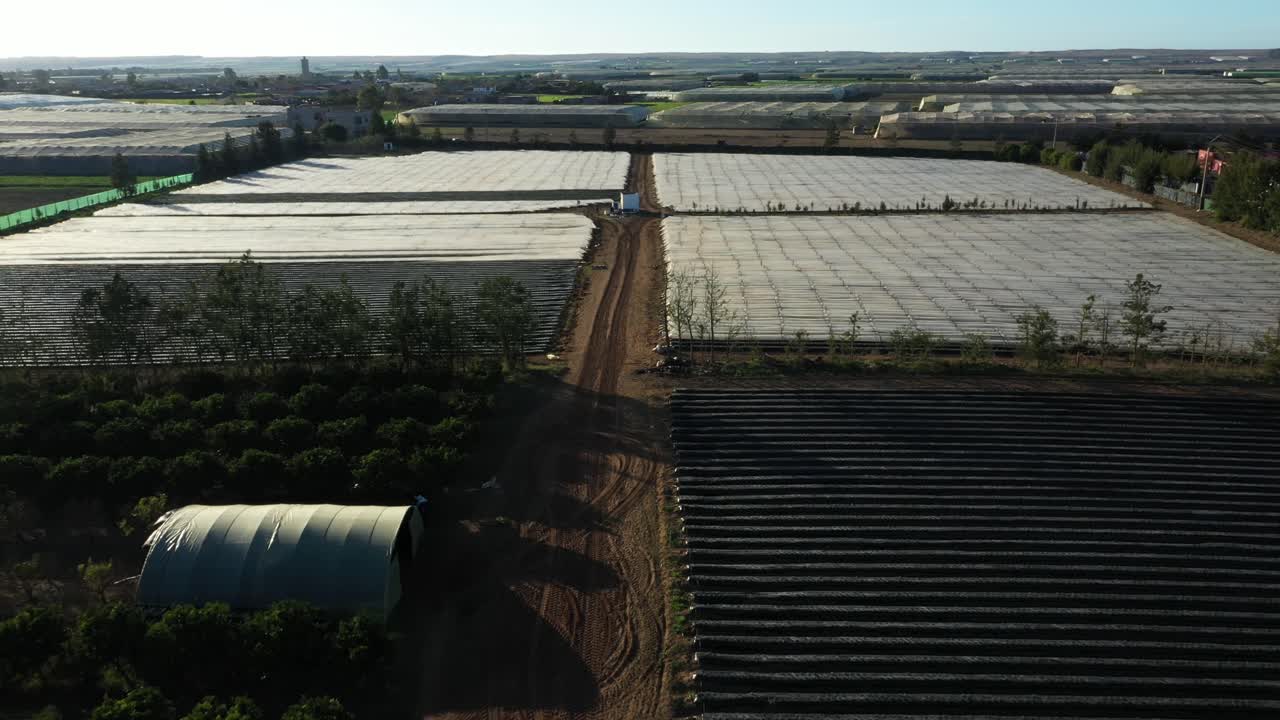 aerial view of strawberries farm in the north morocco