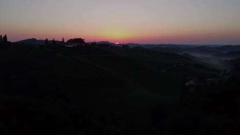 Weinrebenfeld-In-Der-Steiermark-österreich-Sonnenuntergang