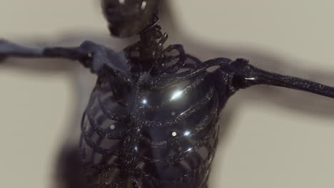 cuerpo humano transparente con huesos esqueléticos visibles