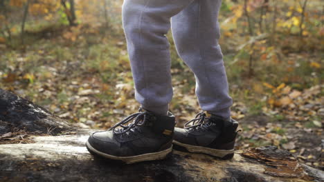 niños en la naturaleza