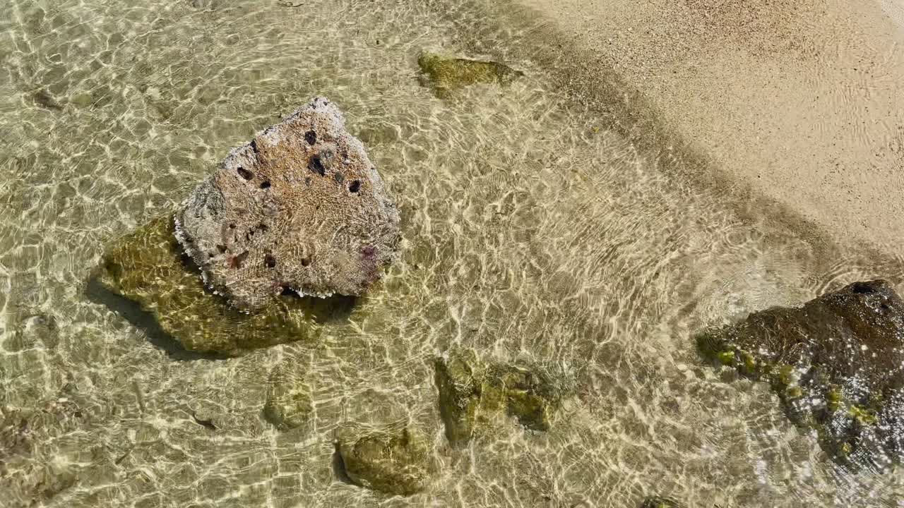 playas limpias con bandera azul de la península de halkidiki, grecia