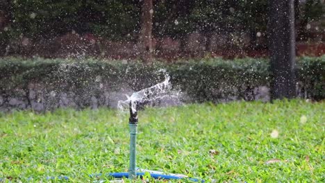 Sequence of a sprinkler irrigating a green garden