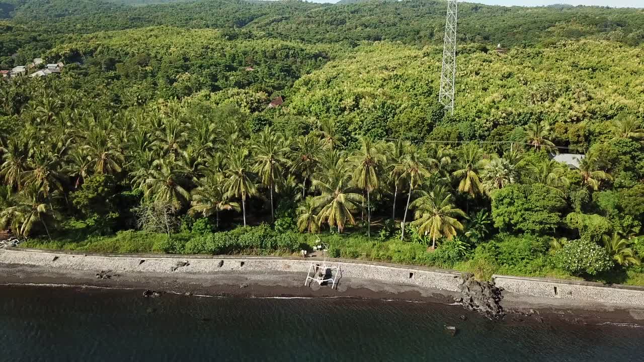 imágenes aéreas de volar de regreso a la playa con los cocoteros alrededor en bali, indonesia