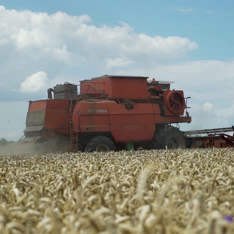 combine harvester harvesting wheat on sunny summer day. harvest time.