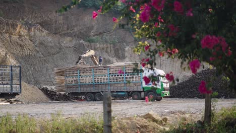 loading wood onto truck at a quarry