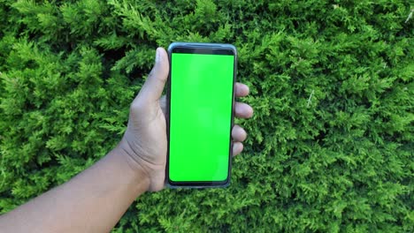 hand holding a phone with green screen in front of trees