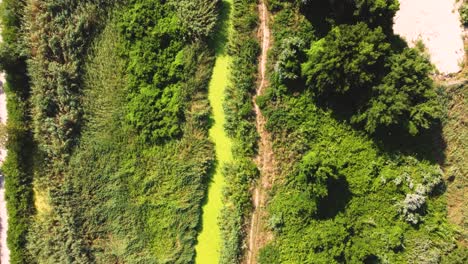 4K-Overhead-Drohne-Clip-über-Dem-Hadjiyska-Fluss-Neben-Dem-Sonnigen-Strand,-Bulgarien