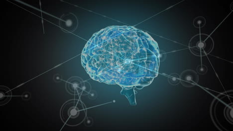cerebro digital con red