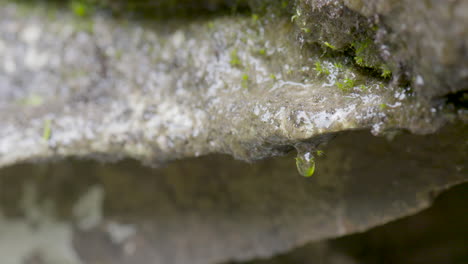 gotas de lluvia de roca cubierta de musgo en las montañas