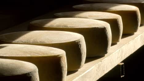 cheese wheels on wooden shelf in mountain pasture hut, natural sunlight, zoom in