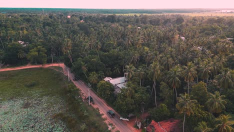 bovenaanzicht van de zon die schijnt op kokospalmen - zonsondergang in tissamaharama - yala nationaal park
