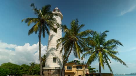 lighthouse surrounded by palm trees