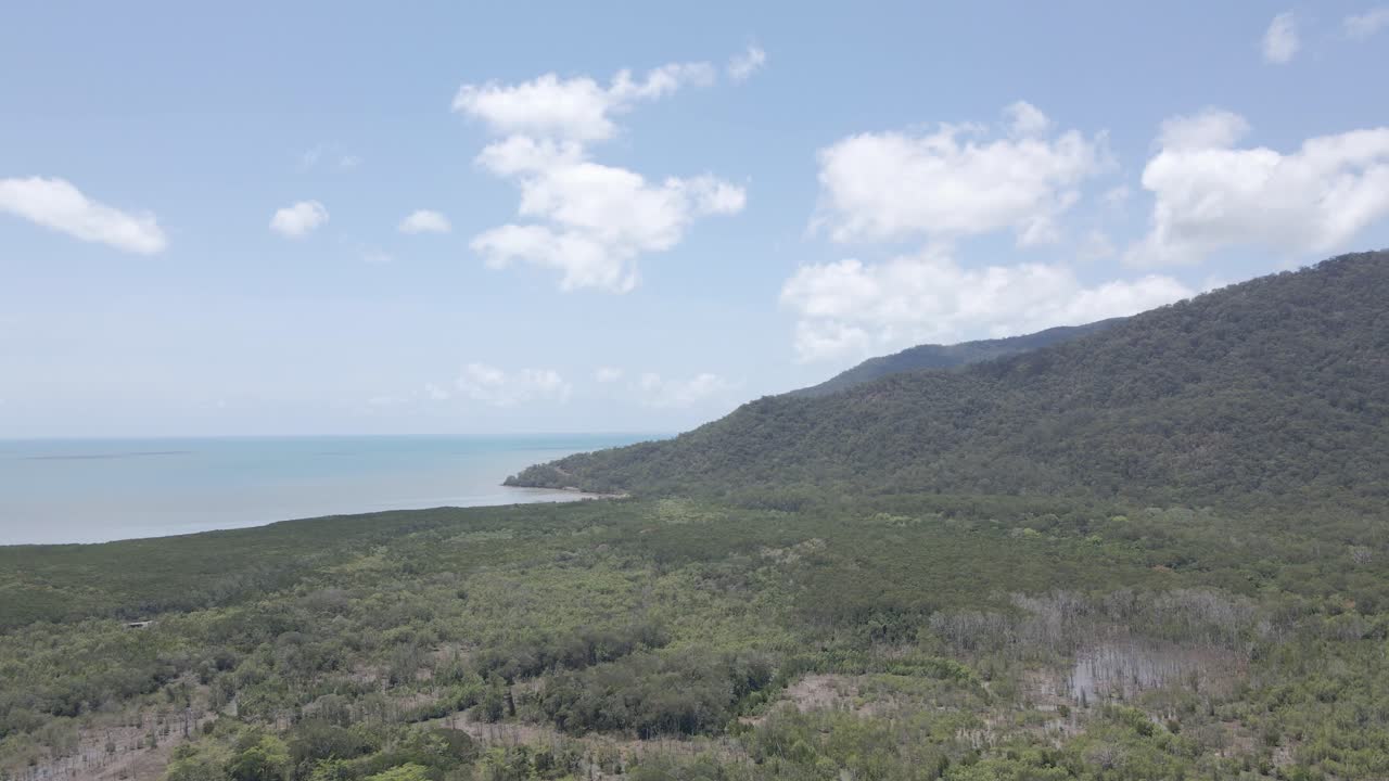 호주 퀸즐랜드의 자연 보호 구역인 케언즈 근처의 낮에 트리니티 삼림 보호 구역의 공중 전망